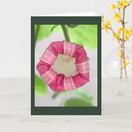 Starlight Mint Morning Glory Blank カード (黄色い花)