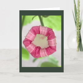 Starlight Mint Morning Glory Blank カード