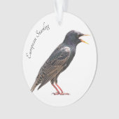 Starling オーナメント (正面)