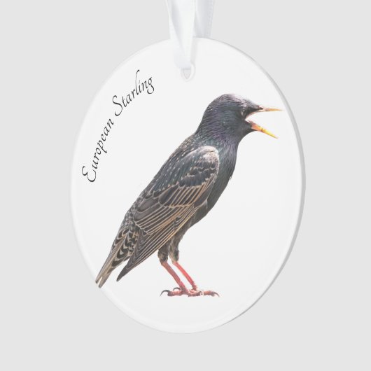 Starling オーナメント (正面)