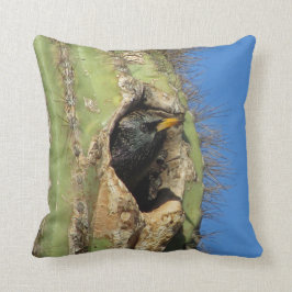 Starling in Saguaro Cactus写真南西バード クッション