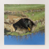 Starling in Saguaro Cactus写真南西バード ジグソーパズル (横)