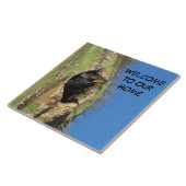 Starling in Saguaro Cactus写真南西バード タイル (側面)