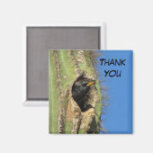 Starling in Saguaro Cactus写真南西バード マグネット (正面/裏面)