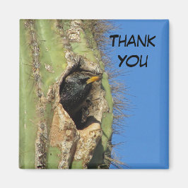 Starling in Saguaro Cactus写真南西バード マグネット