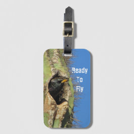 Starling in Saguaro Cactus写真南西バード ラゲッジタグ