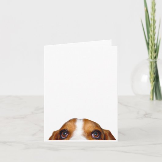 Starring Holmes, that lovable Basset Hound カード (正面)