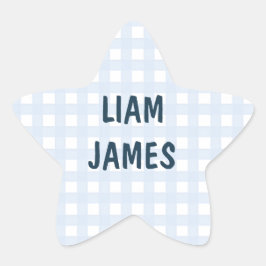 Starry Gingham Baby Boy Envelope Sticker 星シール
