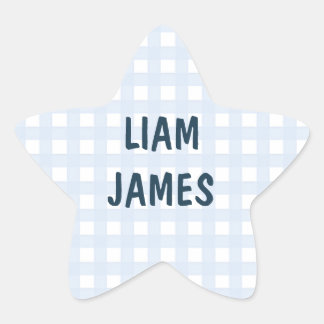 Starry Gingham Baby Boy Envelope Sticker 星シール