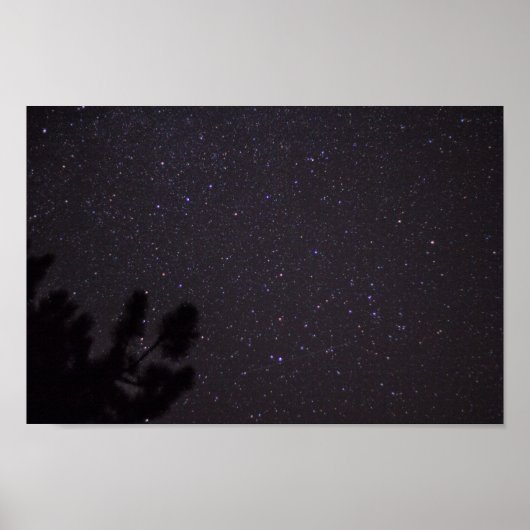 Starry Night, Michigan ポスター (正面)