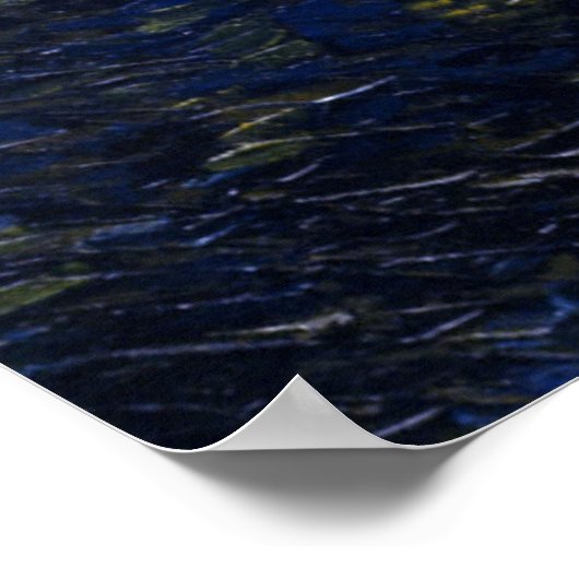 Starry Night Over the Rhone Poster ポスター (角)