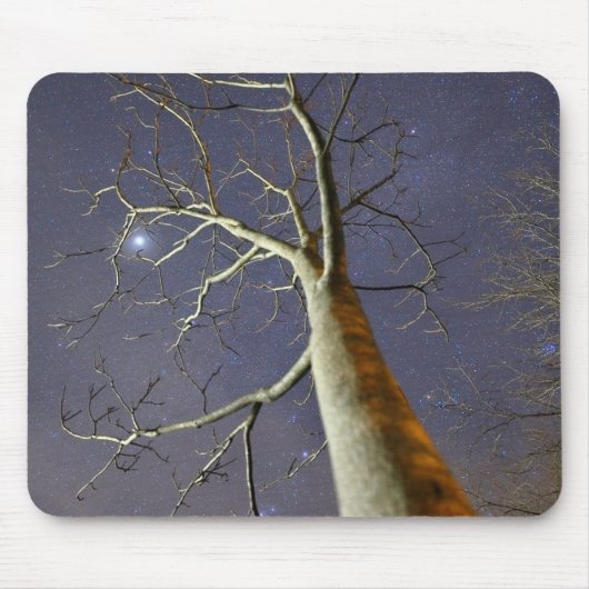 Starry_Tree_Mousepad マウスパッド (正面)