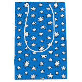 Stars ミディアムペーパーバッグ (正面)