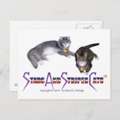StarsAndStripesCatsはがき ポストカード (正面/裏面)