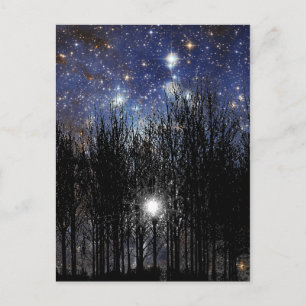 Starscape & Trees – はがき