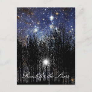 Starscape & Trees:リーチ – はがき