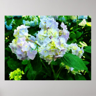 STARTING UNDER $20 - Lavender Hydrangea in Garden ポスター