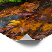 Starvation Creek Falls | Columbia Gorge, Oregon ポスター (角)