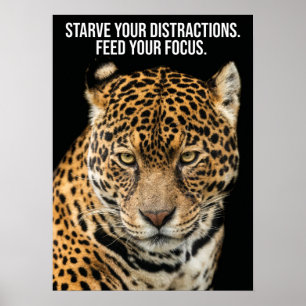 Starve Distractions、フォーカス食べ物を与え- Tiger Success ポスター