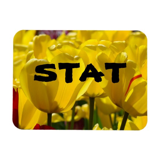 STAT磁石看護薬チューリップ磁石フローラ マグネット (横)