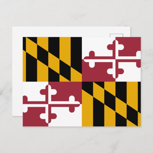 State Flag of Maryland ポストカード (正面/裏面)