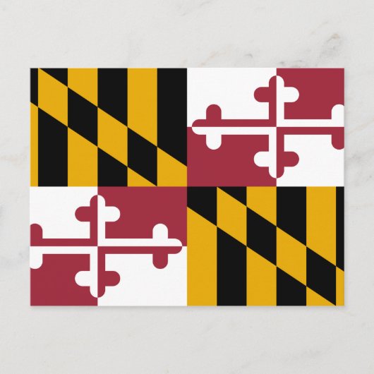 State Flag of Maryland ポストカード (正面)