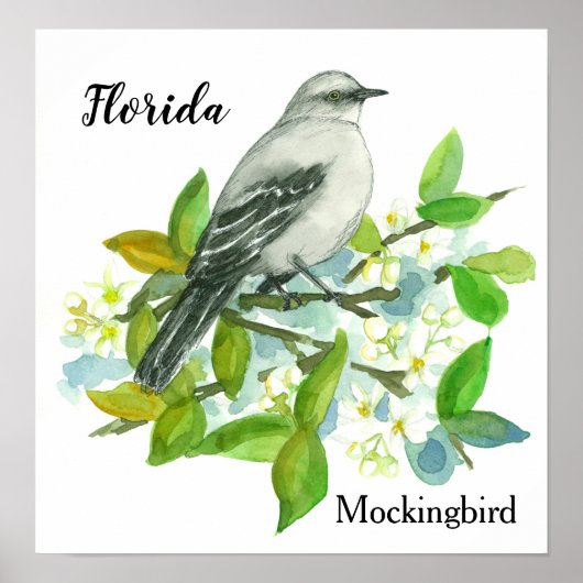 State Flower of Florida Orange Blossom Mockingbird ポスター (正面)