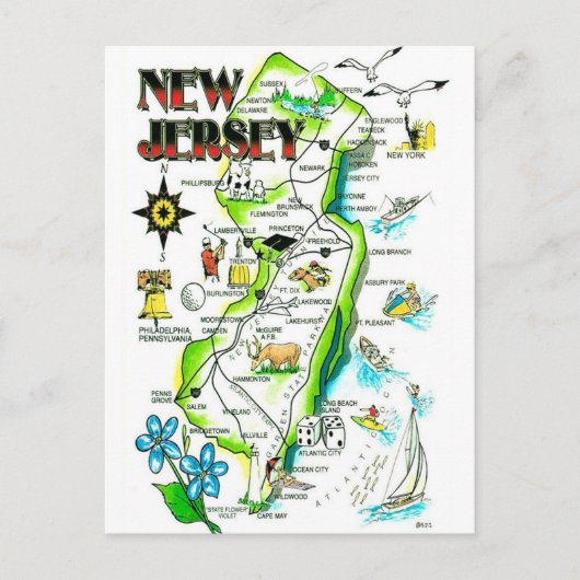 State of New Jersey Illustrated Postcard ポストカード (正面)