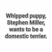 State Terrier Stephen Miller Hankamer Artjunkhaus シール (正面)