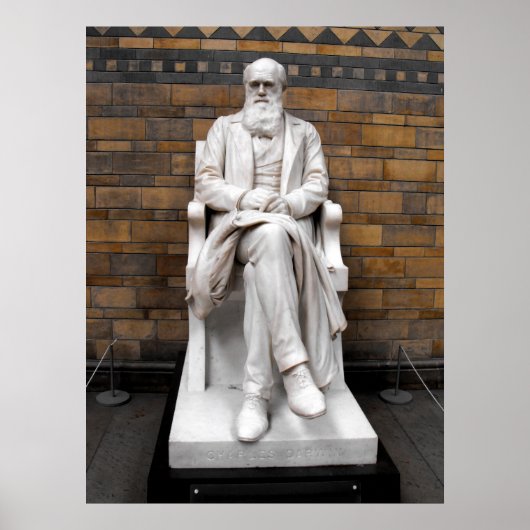 Statue of Charles Darwin ポスター (正面)