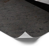 Statue of Charles Darwin ポスター (角)