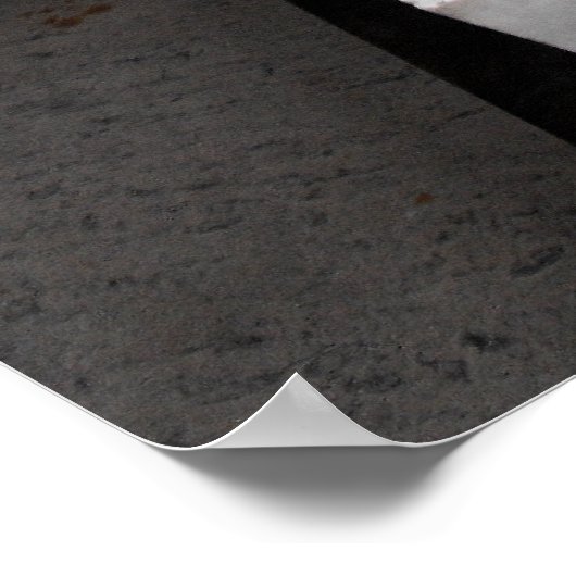 Statue of Charles Darwin ポスター (角)