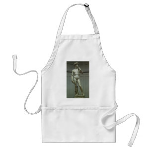 Statue of David by Michelangelo スタンダードエプロン