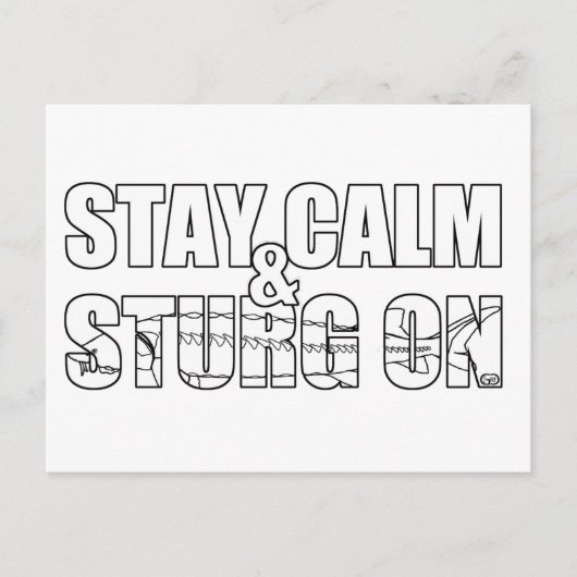 Stay Calm & Sturg On -Lake Sturg - acigifts@yahoo ポストカード (正面)