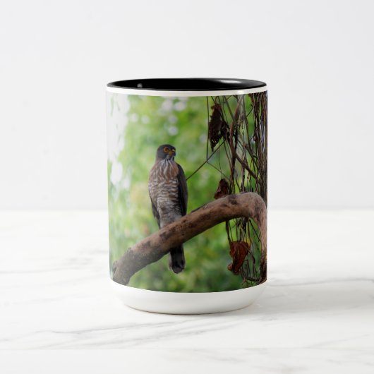 Stay Chirp Minimalist Raptor Bird Coffee Mug ツートーンマグカップ (中央)