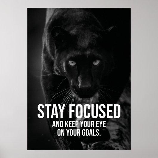 Stay Focused – ハッスル、トレーニング、成功 – Panther ポスター (正面)
