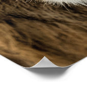 Stay Focused、Lion、新年の決意 ポスター (角)