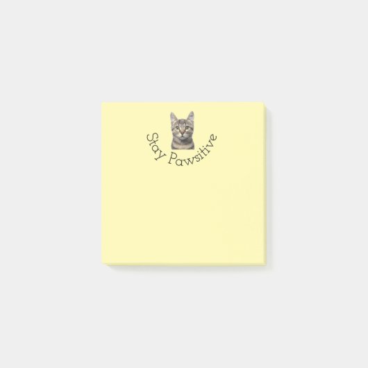Stay Pawsitive Cat Post It Notes ポストイット (正面)