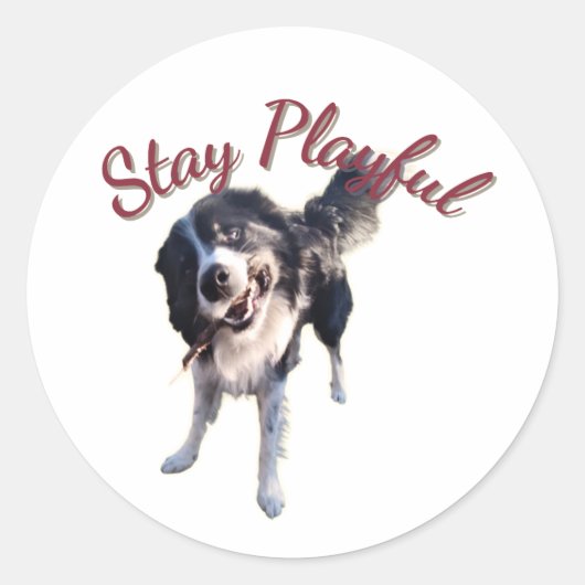 Stay Playful Dog Sticker ラウンドシール (正面)