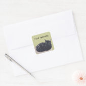 Stay Tortoise Shell Cat Your Message Stickers スクエアシール (封筒)