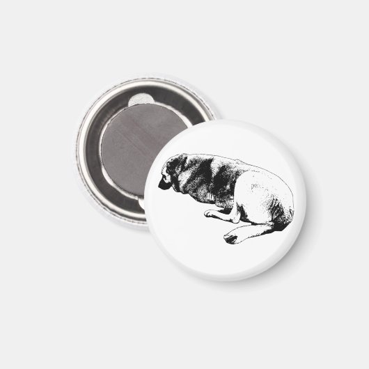 Staying Right Here マグネット (正面/裏面)