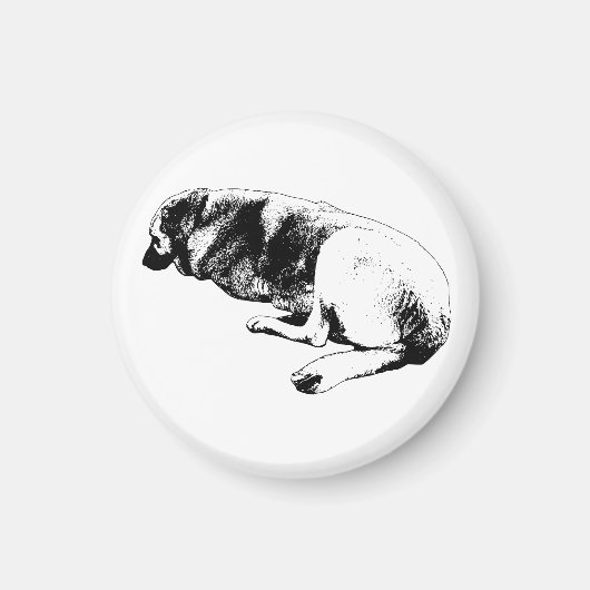 Staying Right Here マグネット (正面)