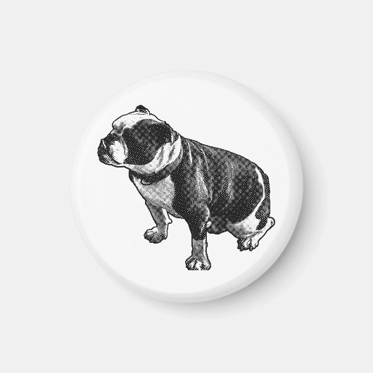 Stays Grounded マグネット (正面)