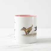 STCのマグ ツートーンマグカップ (中央)