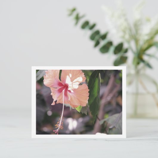 STC_0027 ポストカード (スタンド正面)