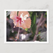 STC_0027 ポストカード (正面)