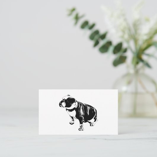 Steady and Unhurried 名刺 (スタンド正面)