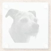 Steady Companion – Parson Russell Terrier ガラスコースター (裏面)