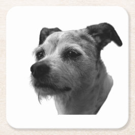 Steady Companion – Parson Russell Terrier スクエアペーパーコースター