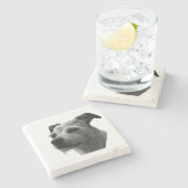 Steady Companion – Parson Russell Terrier ストーンコースター (横)